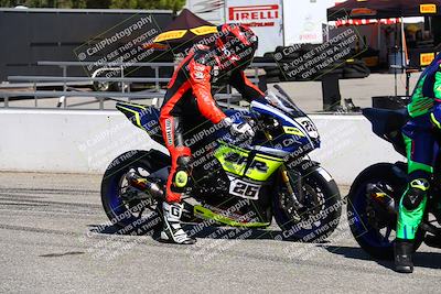 media/Aug-13-2023-CRA (Sun) [[1cfc37a6fb]]/Race 6 1000 Supersport/Grid Shots/